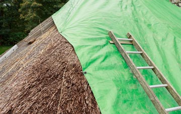 maintaining Tanshall thatch