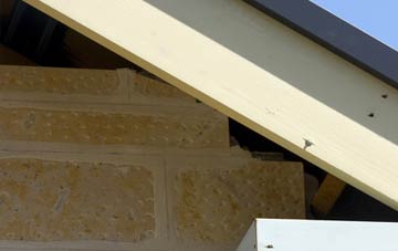 soffit repair Tanshall
